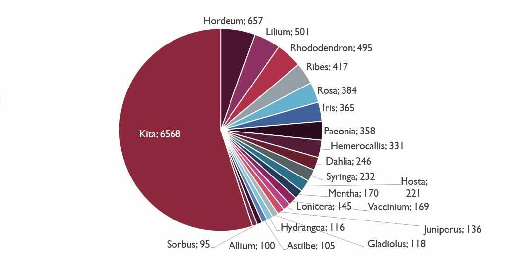 Gausiausios gentys pagal pavyzdžių skaičių (2025)